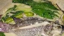 Ginataang tilapia recipe Ginataang tilapia recipe