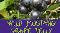 Wild Mustang Grape Jelly Wild Mustang Grape Jelly