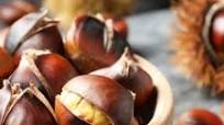 20 Best Ways to Use Chestnuts 20 Best Ways to Use Chestnuts