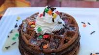 Chocolate Mini Waffles Chocolate Mini Waffles