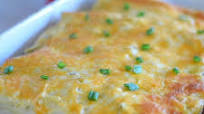 Chicken Enchiladas With Sour Cream White Sauce Chicken Enchiladas With Sour Cream White Sauce