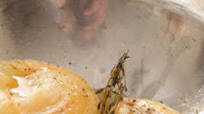 How To Roast Onions How To Roast Onions