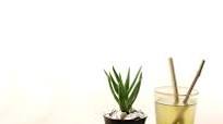 Pineapple-Aloe Cocktail Pineapple-Aloe Cocktail