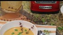 Navy Bean Soup Navy Bean Soup