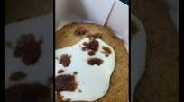 How To make Arm& Hammer Chocolate Chip Banana Bread How To make Arm& Hammer Chocolate Chip Banana Bread