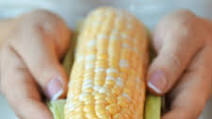 Instant Pot Pressure Cooker Corn on the Cob Instant Pot Pressure Cooker Corn on the Cob