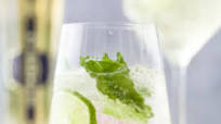 The Best Hugo Cocktail Recipe The Best Hugo Cocktail Recipe