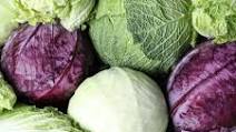 How To Cook Cabbage | 20+ Delectable Cabbage Recipes How To Cook Cabbage | 20+ Delectable Cabbage Recipes