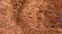Emeril's Burger Seasoning Recipe (Copycat) Emeril's Burger Seasoning Recipe (Copycat)