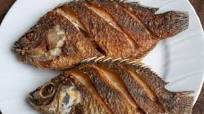 Fried Tilapia Recipe Fried Tilapia Recipe