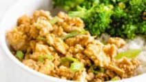 Gluten Free Orange Chicken (AIP, paleo) Gluten Free Orange Chicken (AIP, paleo)
