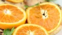 Savory Citrus Chicken - Slow Cooker Recipe Savory Citrus Chicken - Slow Cooker Recipe