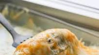 Amazing Chicken Enchiladas Amazing Chicken Enchiladas