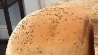 Bread Machine - Italian Herb Bread Bread Machine - Italian Herb Bread