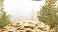 Ely Pasties Ely Pasties