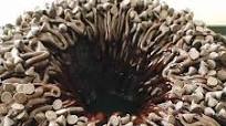 Ultimate Chocolate Bundt Cake Ultimate Chocolate Bundt Cake