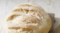 Olive oil bread Olive oil bread