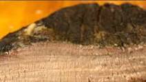 Sous Vide And Smoked Texas-Style BBQ Brisket Recipe Sous Vide And Smoked Texas-Style BBQ Brisket Recipe