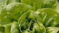 Caesar salad Caesar salad