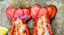 10 Minute Perfectly Broiled Lobster Tails 10 Minute Perfectly Broiled Lobster Tails