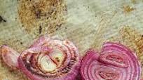 Roasted Red Onions Roasted Red Onions