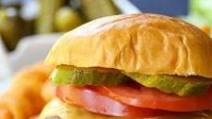 Homemade Hamburger Patties Homemade Hamburger Patties
