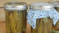 Easy Southern Pickled Okra Easy Southern Pickled Okra