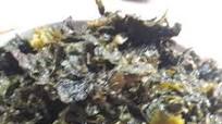 चौराई का साग (Chourai ka saag recipe in Hindi) चौराई का साग (Chourai ka saag recipe in Hindi)