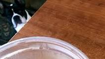 InstantPot or Slow Cooker Beef and Pork Bone Broth for Dogs InstantPot or Slow Cooker Beef and Pork Bone Broth for Dogs