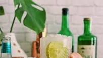 Skinny Mezcal Coconut Margarita Skinny Mezcal Coconut Margarita