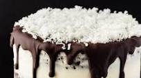 Chocolate Coconut Cake Chocolate Coconut Cake