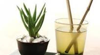 Pineapple-Aloe Cocktail Pineapple-Aloe Cocktail