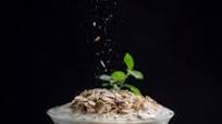Berry, Toasted Oat and Honey Yogurt Parfait Recipe Berry, Toasted Oat and Honey Yogurt Parfait Recipe