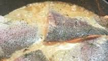 Salmon in Lemon-Dill Sauce Salmon in Lemon-Dill Sauce