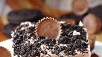 Chocolate Peanut Butter No-Bake Dessert Chocolate Peanut Butter No-Bake Dessert