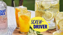 Screwdriver Screwdriver