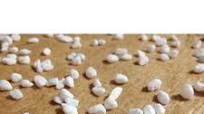 Whole Grain Liege Waffle Recipe Whole Grain Liege Waffle Recipe