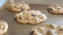 Chewy Chocolate Chip Coconut Cookies Chewy Chocolate Chip Coconut Cookies