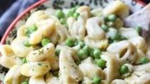 Cream Cheese Alfredo Sauce Cream Cheese Alfredo Sauce