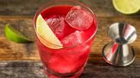 Cranberry Gin Cocktail Cranberry Gin Cocktail