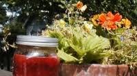 Sure-jell Sure-fire Strawberry Rhubarb Jam Recipe Sure-jell Sure-fire Strawberry Rhubarb Jam Recipe