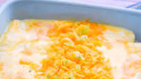 The EASIEST Chicken Enchiladas The EASIEST Chicken Enchiladas