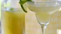 Homemade Margarita Mix Recipe Homemade Margarita Mix Recipe