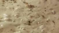 Sausage Gravy Sausage Gravy
