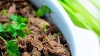 Mexican Shredded Beef Mexican Shredded Beef