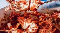 Crab Marinara Crab Marinara