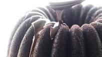 Gluten-Free Chocolate Bundt Cake Gluten-Free Chocolate Bundt Cake