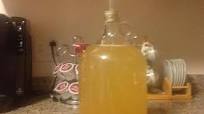 Homemade Wine Homemade Wine