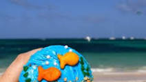 Punta Cana Cupcakes Punta Cana Cupcakes