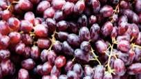 Purple Power Juice Purple Power Juice